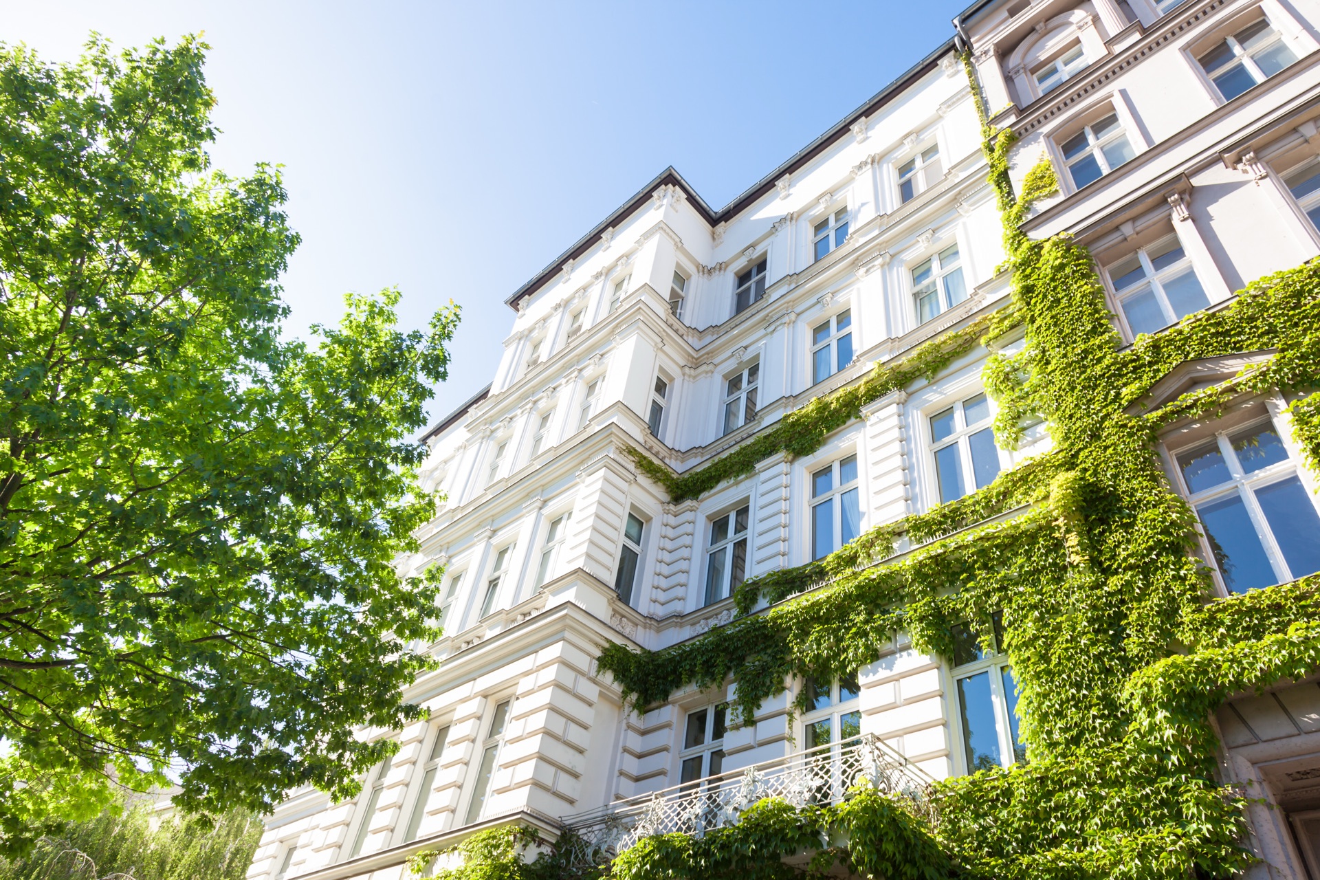 Sanierte Gründerzeit-Altbaufassade mit Efeu